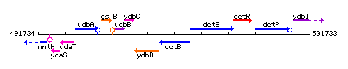 DctB context.gif