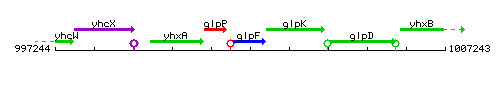 GlpF context.gif