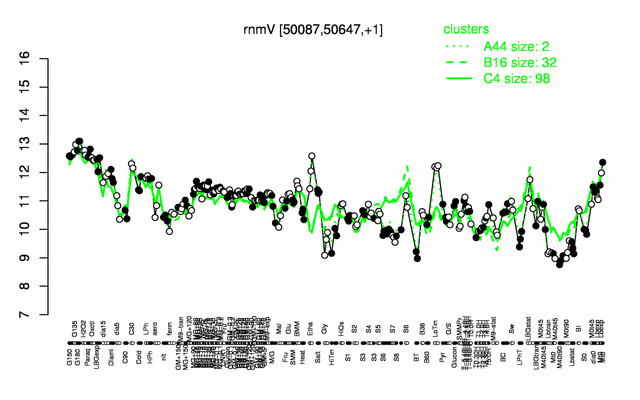 RnmV expression.png