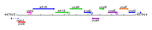 YcsA context.gif