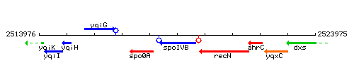 SpoIVB context.gif