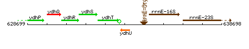 YdhU context.gif