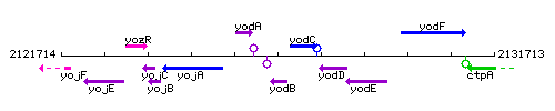 YodB context.gif