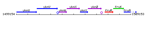 YknX context.gif