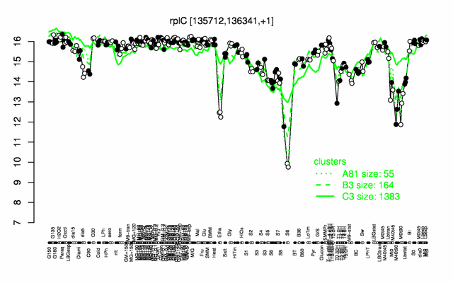 RplC expression.png