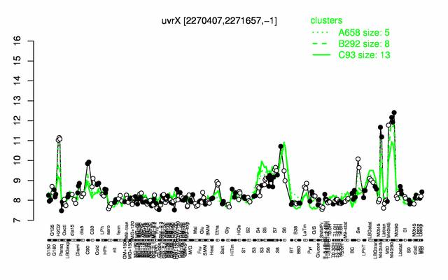 UvrX expression.png