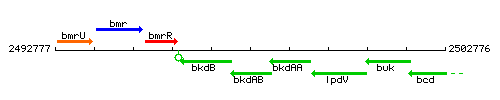 BkdAB context.gif