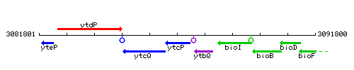 YtcP context.gif