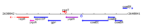 YqeN context.gif