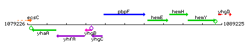 PbpF context.gif