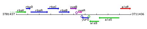 YwsB context.gif