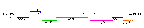 OdhA context.gif