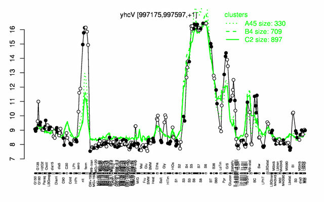 YhcV expression.png