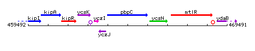 PbpC context.gif