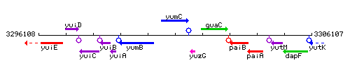 YumC context.gif