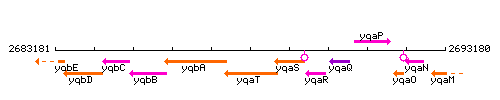 YqaT context.gif