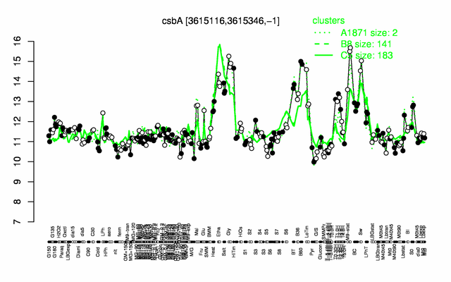 CsbA expression.png