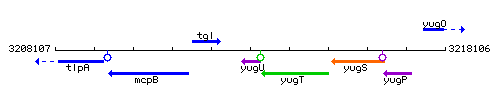 YugU context.gif