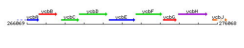 YcbE context.gif