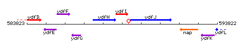 YdfI context.gif