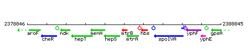 MtrB context.gif