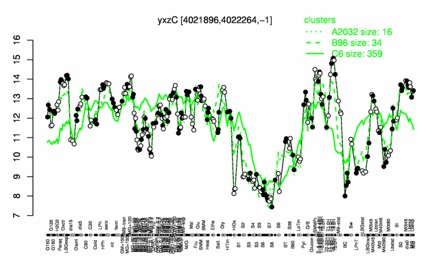 YxzC expression.png