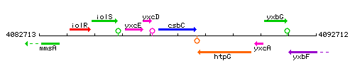 CsbC context.gif