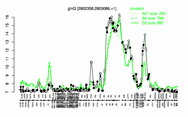 GlnQ expression.png