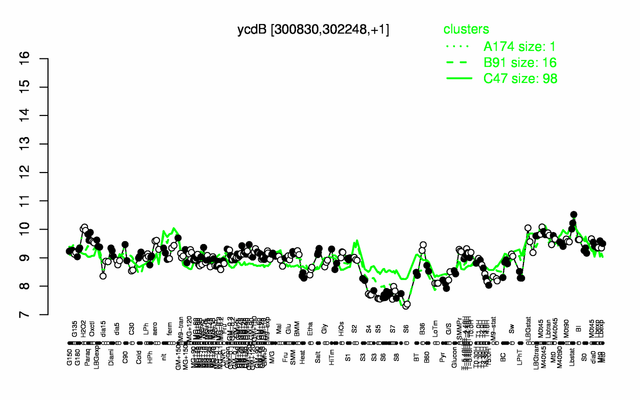 YcdB expression.png