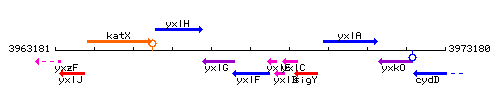 YxlF context.gif