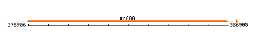 SrfAA context.gif