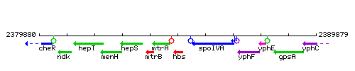 Hbs context.gif