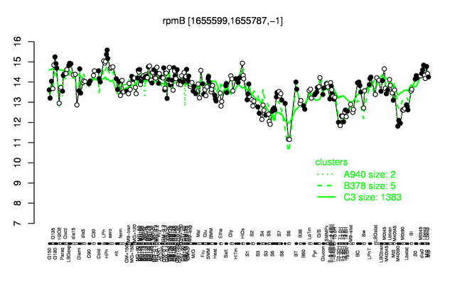 RpmB expression.png