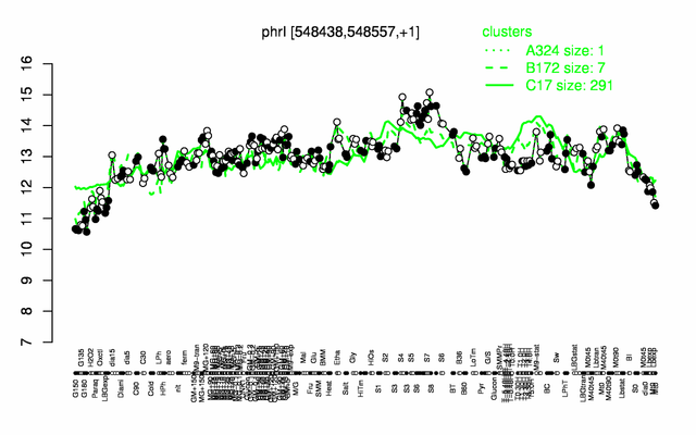 PhrI expression.png