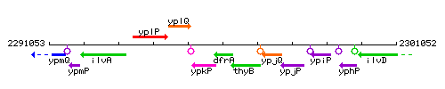 DfrA context.gif