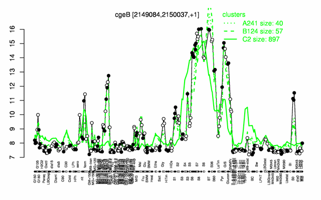 CgeB expression.png