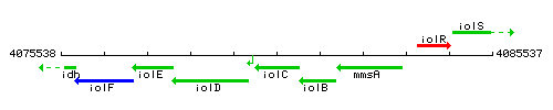 IolC context.gif