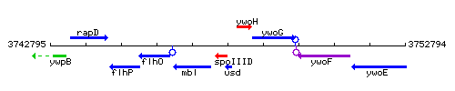 Usd context.gif