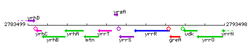 YrrS context.gif