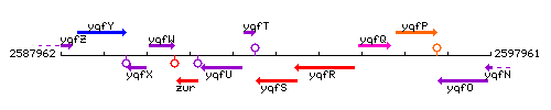 YqfS context.gif