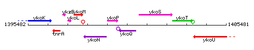 YkoQ context.gif