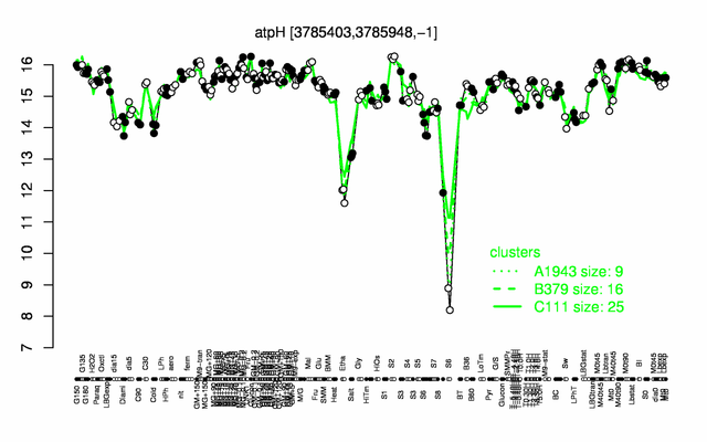 AtpH expression.png