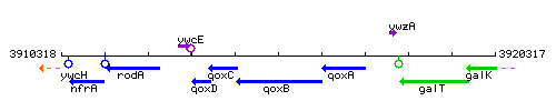 QoxB context.gif