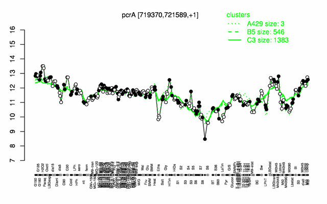 PcrA expression.png