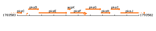 PksF context.gif