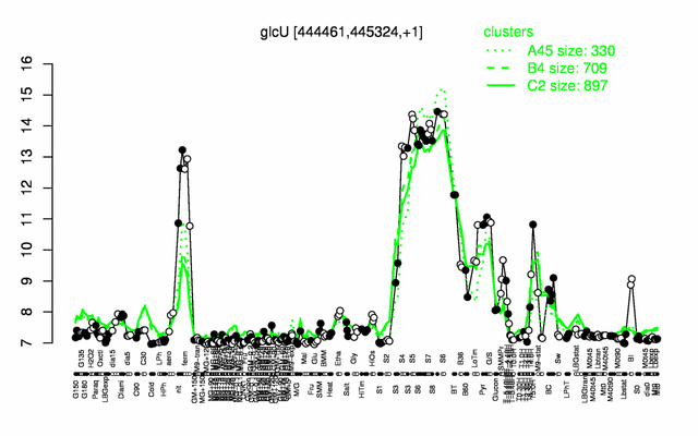 GlcU expression.png