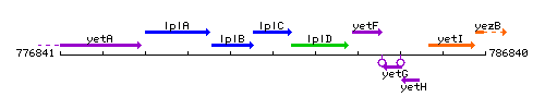 LplC context.gif