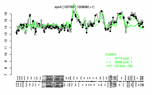 Spx expression.png