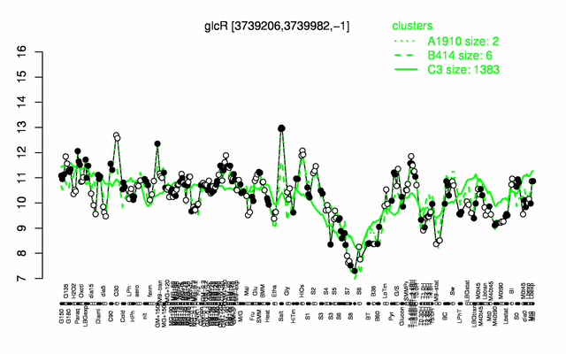 GlcR expression.png