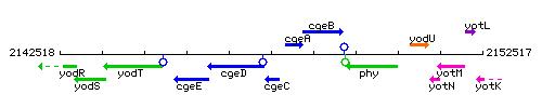 CgeC context.gif